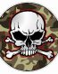 SKULL CIRCULAR FILLS Camo Brown