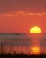 Sunrise and Sunsets Wall Decals 033