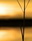 Sunrise and Sunsets Wall Decals 054