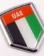 United Arab Emirates Flag 3D Shield Emblem Domed Sticker