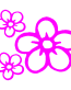 Flower decals