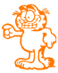 Garfield 1 Decal