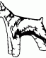Schnauzer decal