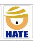 2020 TRUMP political sticker  13