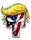2020 TRUMPISHER USA 4