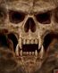 Dragons and Skulls Wall Decals 84