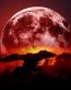 3D Space and Stars Wall graphics 32