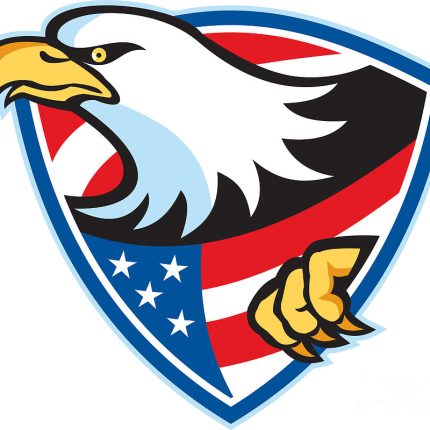 American Bald Eagle Flag Shield Sticker