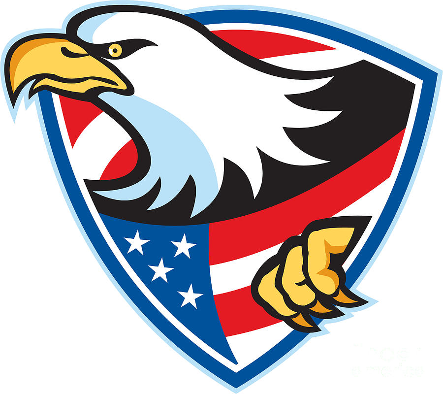 American Bald Eagle Flag Shield Sticker - Pro Sport Stickers