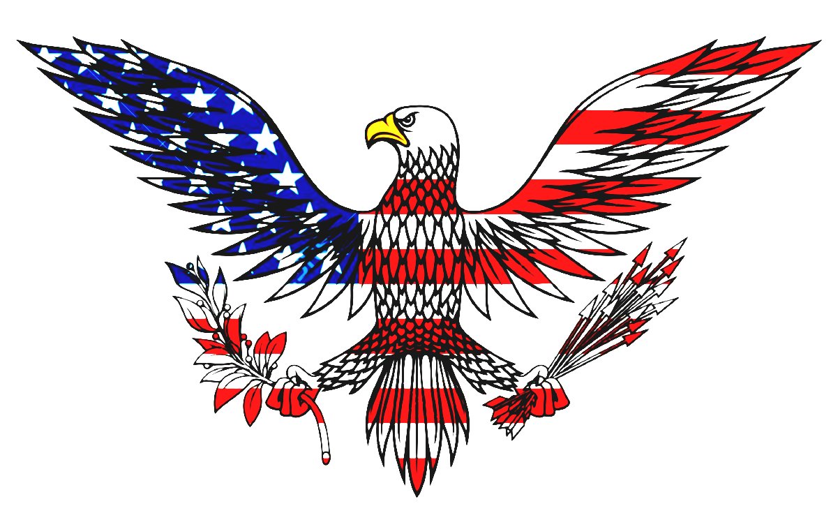 American Eagle Symbol Arrows STICKER - Pro Sport Stickers