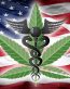 american flag medical weed sticker