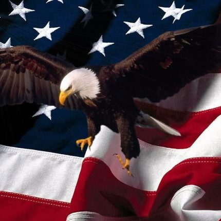 American Patriotic Eagle with USA Flag 12