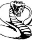 Cobra decal 3