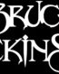 bruce dickinson die cut band decal