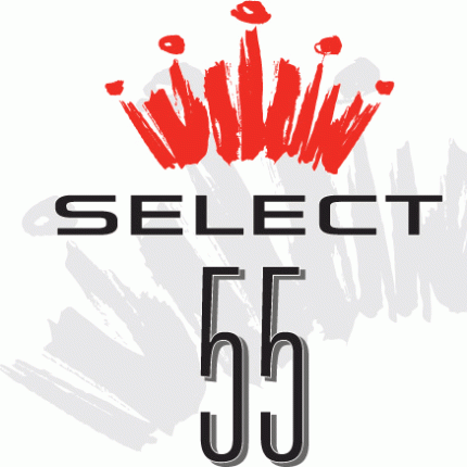 Bud SELECT 55 Logo Decal