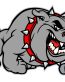 bulldog logo 44