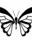 Butterfly Vinyl Diecut Decal 77