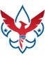 CUB SCOUT NEW EAGLE RWB LOGO STICKER