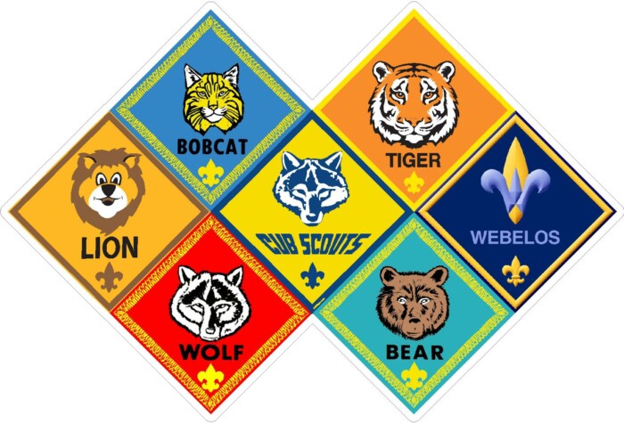 cub scouts RANKS STICKER 1 - Pro Sport Stickers