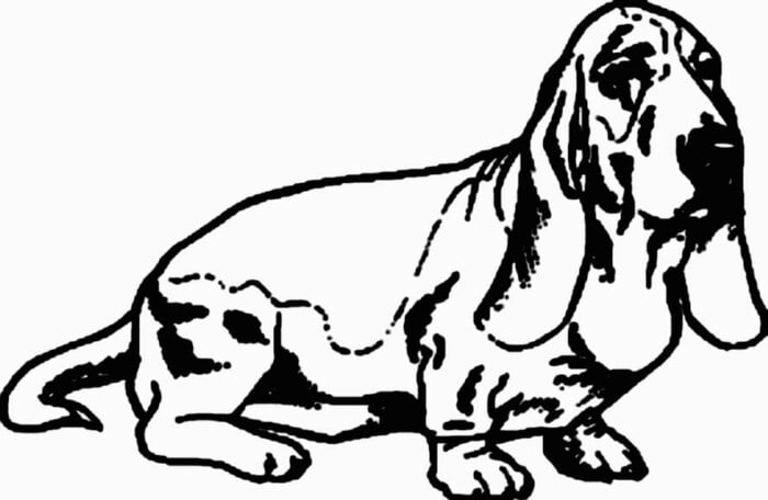 Dog Breed Decal 25