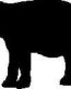 Elephant 1 Decal