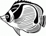 Fish Decals 12