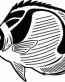 Fish Decals 12