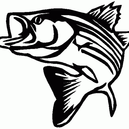 Fish Diecut Decal 77