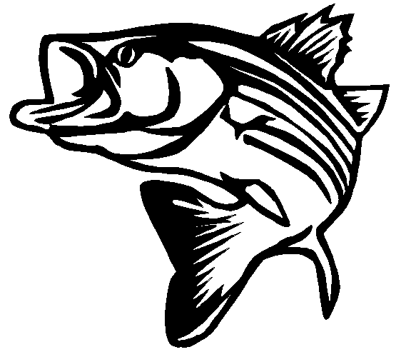 Fish Diecut Decal 77 - Pro Sport Stickers