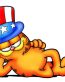 Garfield Stars and Stripes Hat