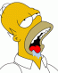 Homer Drool 2