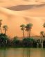 Lake Scenes Vinyl Wall Decal Decoration 40