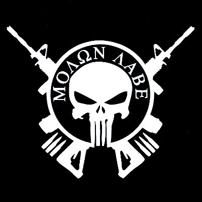 skull and guns logo
