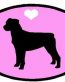 Oval Rottweiler Decal PINK