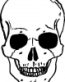 Skull Stickers 01