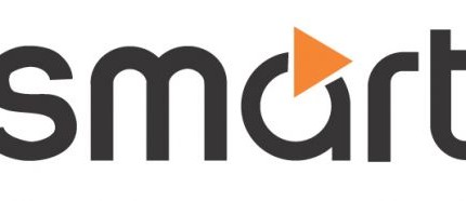Smart Logo 1 Color Vinyl Sticker