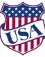 united-states-of-america-shield-usa-american-patriotic-SHIELD STICKER