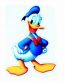 Donald Duck Sticker