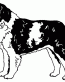 60 St Bernard Decal