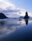Beaches and Coastal Vinyl Wall Graphics 025