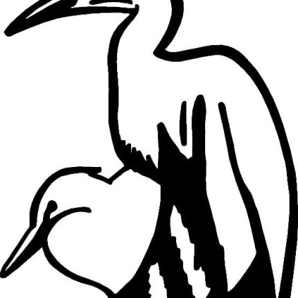 Bird Birds Animal Animals Vinyl Decal Sticker 02