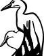 Bird Birds Animal Animals Vinyl Decal Sticker 02