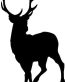 Deer Decal 07