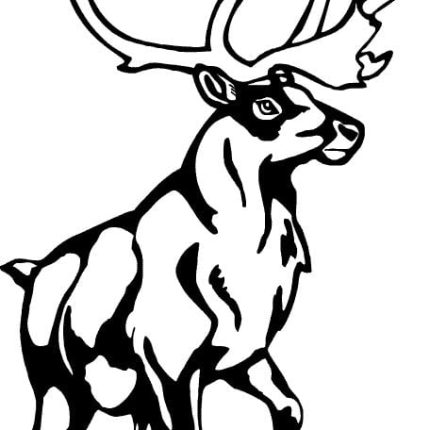 Deer Decal 13