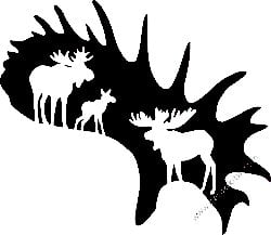 Deer Hunting Decal Sticker 43