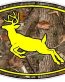 Deer Logo - NATURE CAMO