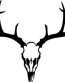 Deer Skull 77