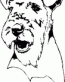 Dog Breed Decal 22
