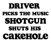 driver picks the music diecut decal