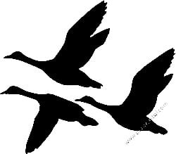 Duck Hunting Decal Sticker 22